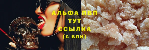 spice Богородицк